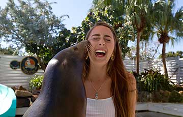 Meet the Sea Lion