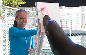 Paint with the Sea Lion