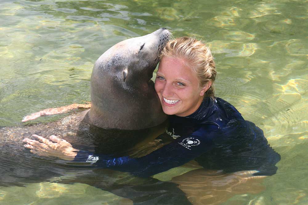 Swim with the Sea Lion