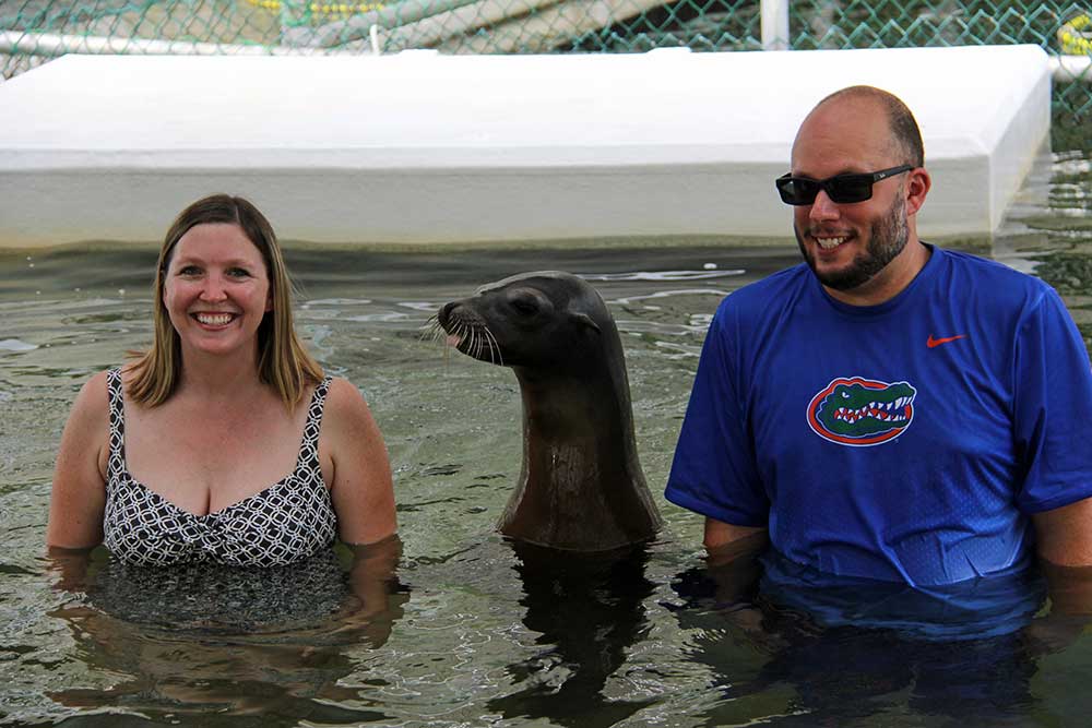 Swim with the Sea Lion
