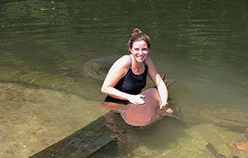 Swim with the Sharks