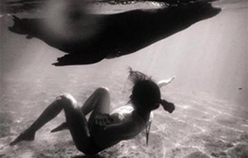 Training and Conservation