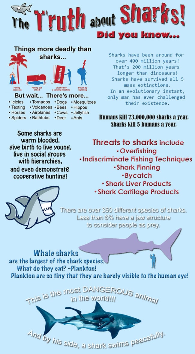 The Truth About Sharks