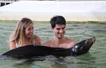 Swim with the Sea Lion