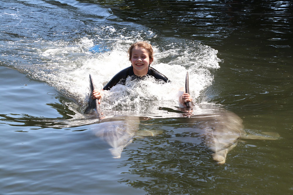 Swim with the Dolphin
