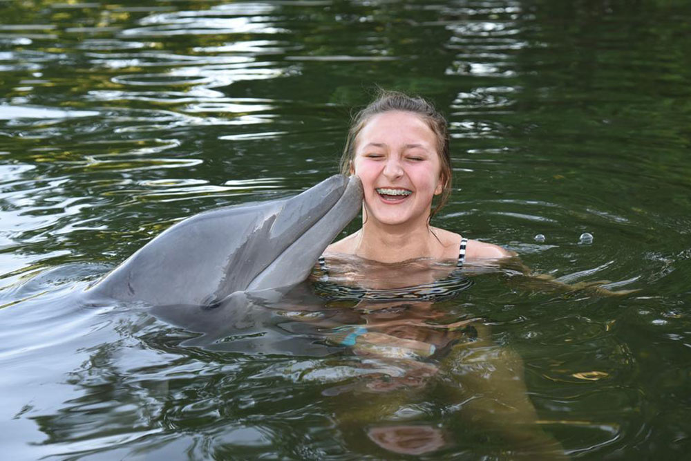 Swim with the Dolphin