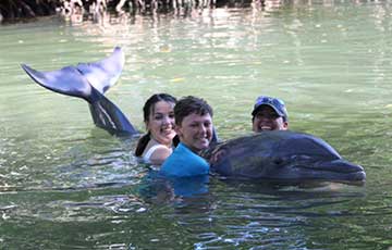 Ultimate Swim with the Dolphin