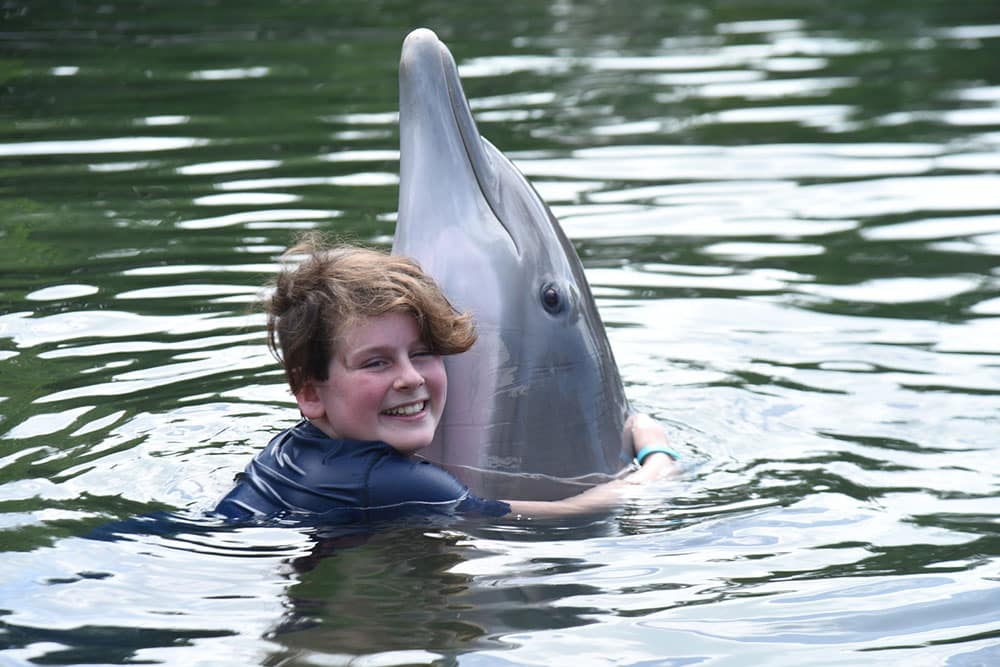 Swim with the Dolphin