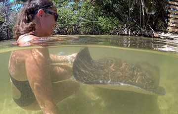 Swim with the Rays