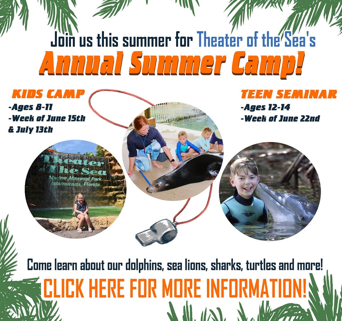 Join us this summer for Theater of The Sea's Annual Summer Camp. Kids Camp: Ages 8-11, Week of June 15th and July 13th. Teen Seminar: Ages 12-14, Week of June 22nd. Come learn about our dolphins, sea lions, sharks, turtles and more! Click here for more information.